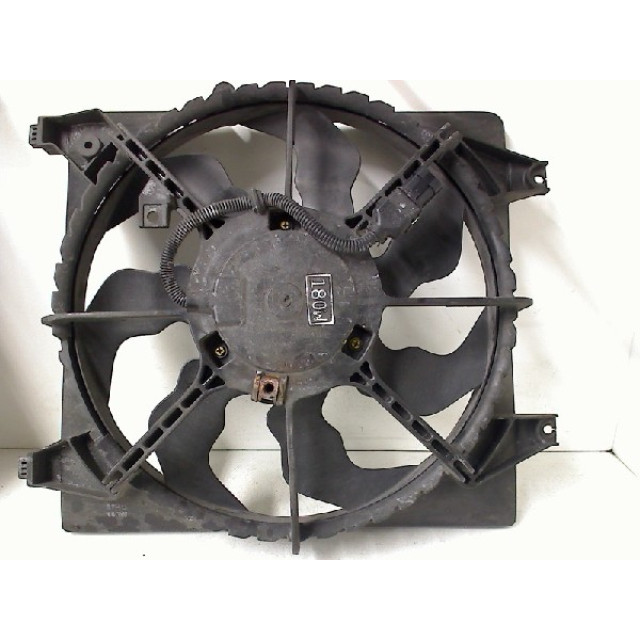 Cooling fan motor Hyundai Santa Fe II (CM) (2006 - 2009) SUV 2.2 CRDi 16V 4x2 (D4EB)