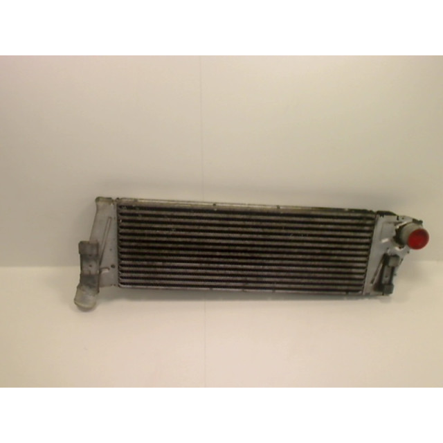 Intercooler radiator Renault Scénic II (JM) (2003 - 2009) MPV 1.9 dCi 120 (F9Q-812)
