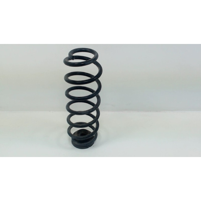 Coil spring rear left or right interchangeable Skoda Fabia (6Y2) (2003 - 2008) Hatchback 5-drs 1.9 TDi RS (ASZ)