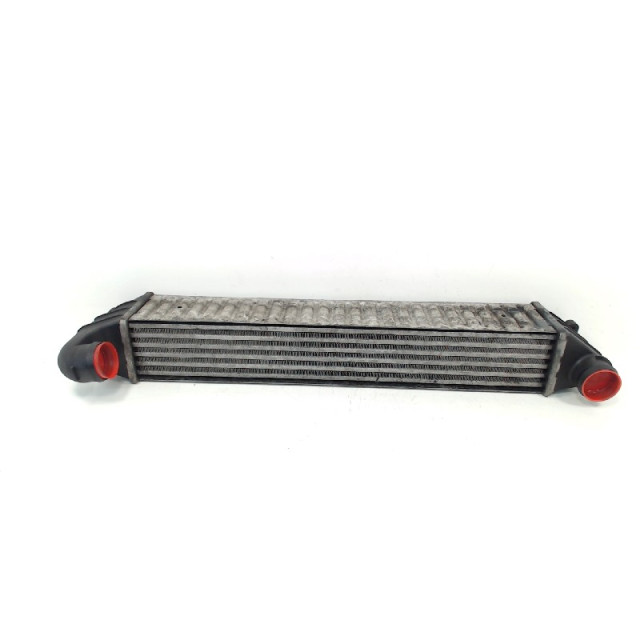 Intercooler radiator Seat Alhambra (7V8/9) (2001 - 2010) MPV 1.9 TDi 4 Motion 115 (AUY)