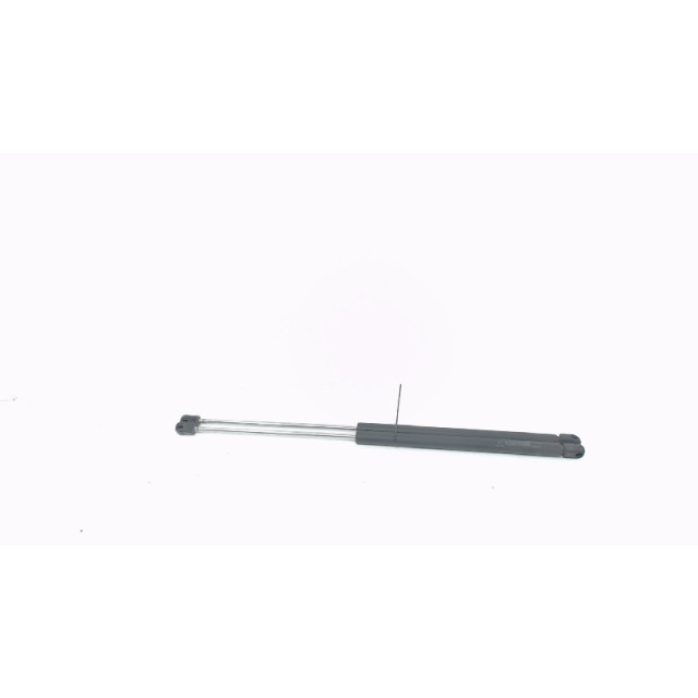 Gas strut set rear Fiat Seicento (187) (1998 - 2010) Hatchback 1.1 S,SX,Sporting,Hobby,Young (187.A.1000)
