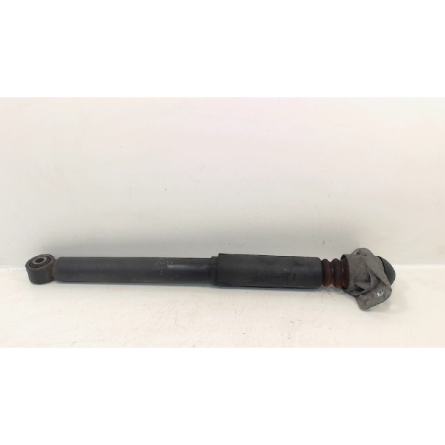 Shock absorber rear right Seat Leon (1P1) (2005 - 2010) Hatchback 5-drs 1.9 TDI 105 (BXE)