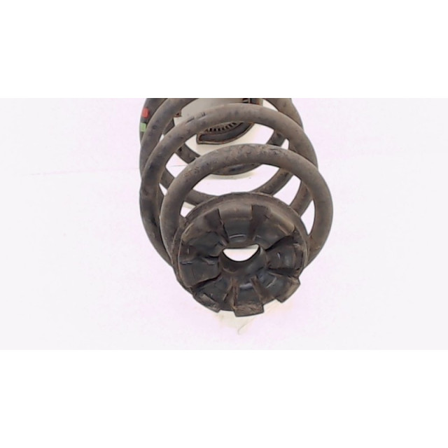 Coil spring rear left or right interchangeable Renault Clio III (BR/CR) (2005 - 2012) Hatchback 1.2 16V 75 (D4F-D740)
