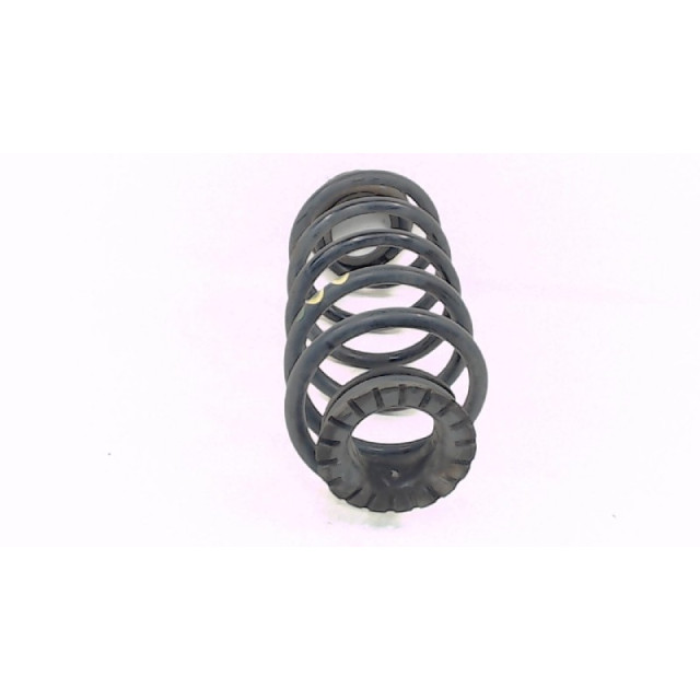Coil spring rear left or right interchangeable Fiat Bravo (198A) (2006 - 2009) Hatchback 1.9 JTD Multijet (192.A.1000)