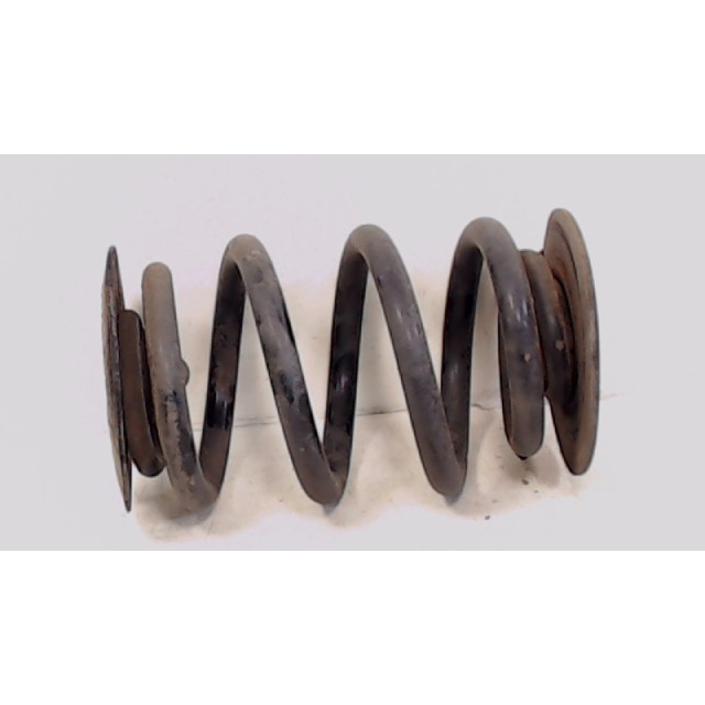 Coil spring rear left or right interchangeable BMW 3 serie Touring (E46/3) (1999 - 2001) Combi 318i (M43-B19(194E1))