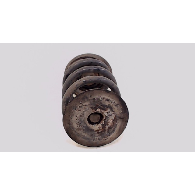 Coil spring rear left or right interchangeable BMW 3 serie Touring (E46/3) (1999 - 2001) Combi 318i (M43-B19(194E1))