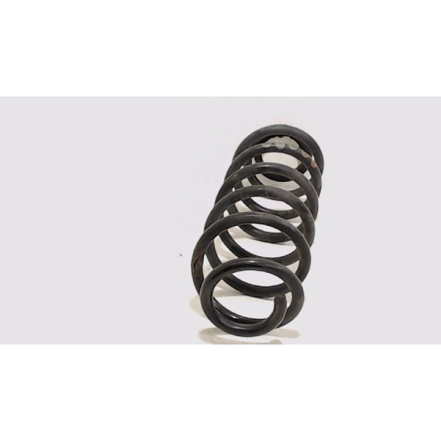 Coil spring rear left or right interchangeable Volkswagen New Beetle (1Y7) (2005 - 2010) Cabrio 1.9 TDI (BSW)