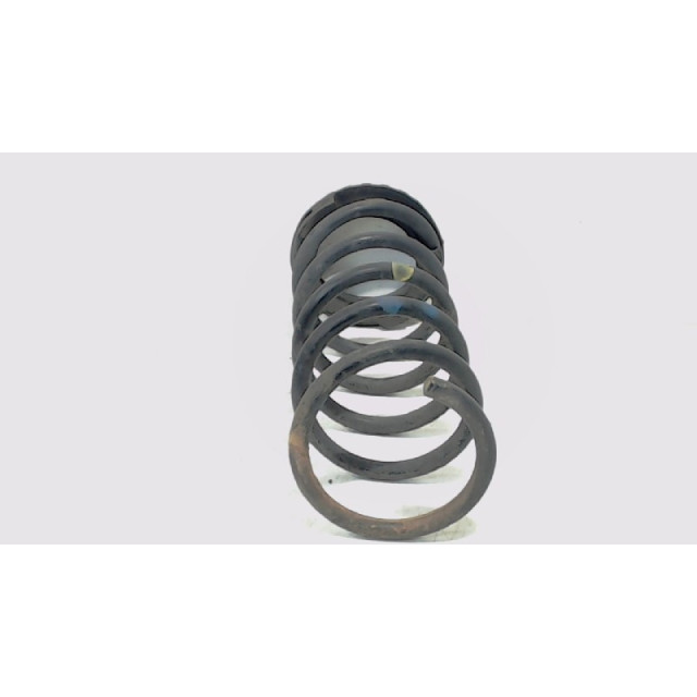Coil spring rear left or right interchangeable Fiat Panda (169) (2010 - 2013) Hatchback 1.2, Classic (169.A.4000(Euro 5))