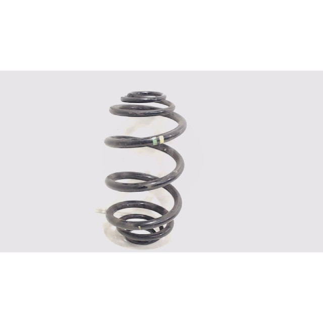 Coil spring rear left or right interchangeable Nissan Primastar (2001 - 2007) Bus 1.9 dCi 100 (F9Q-760)