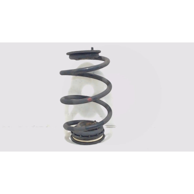 Coil spring rear left or right interchangeable Renault Twingo II (CN) (2007 - 2014) Hatchback 3-drs 1.2 16V (D4F-770)