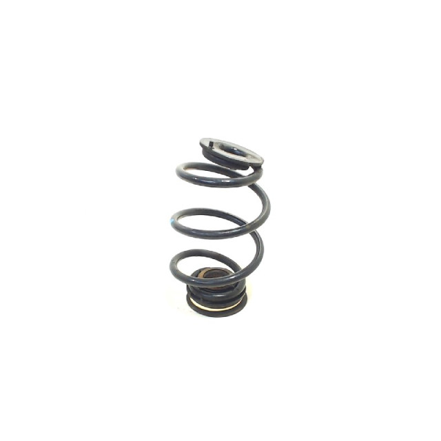 Coil spring rear left or right interchangeable Renault Twingo II (CN) (2007 - 2014) Hatchback 3-drs 1.2 16V (D4F-772(Euro 4)