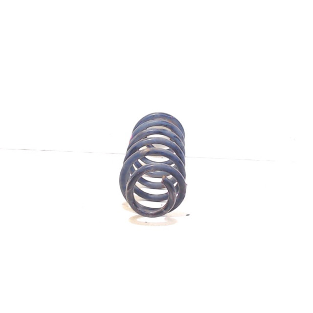 Coil spring rear left or right interchangeable Seat Leon (1P1) (2005 - 2010) Hatchback 1.9 TDI 105 (BXE)