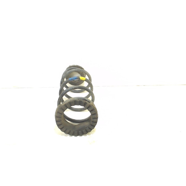 Coil spring rear left or right interchangeable Fiat Grande Punto (199) (2005 - present) Hatchback 1.2 Euro 4 (199.A.4000)