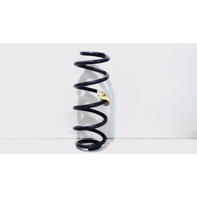 Coil spring rear left or right interchangeable Fiat Sedici (189) (2006 - 2009) SUV 1.6 16V Dynamic (M16A)