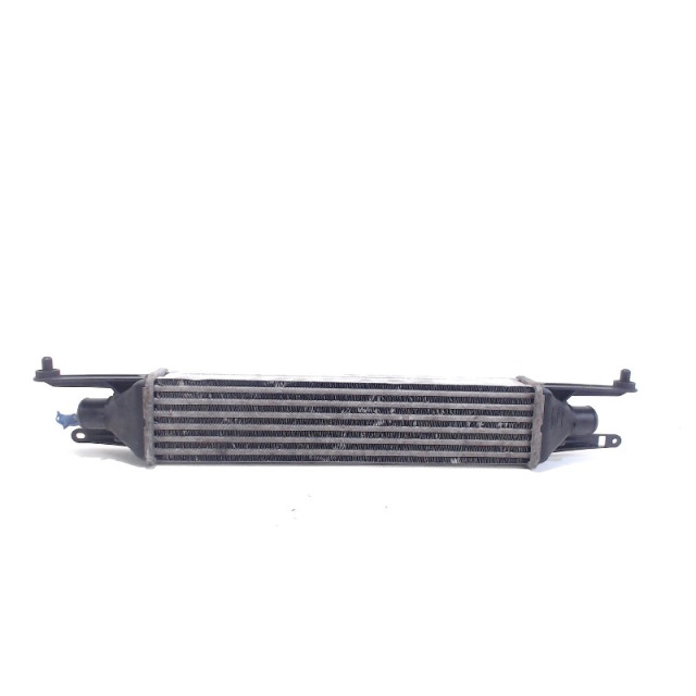 Intercooler radiator Fiat Grande Punto (199) (2005 - 2013) Hatchback 1.3 JTD Multijet 16V (199.A.2000)
