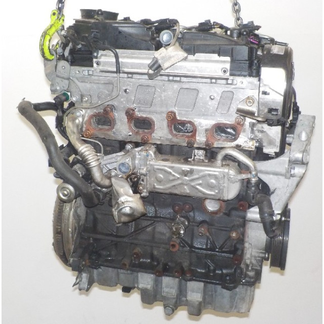 Engine Volkswagen Golf VI (5K1) (2009 - 2012) Hatchback 1.6 TDI 16V (CAYB(Euro 5))