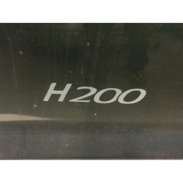 Door front left Hyundai H 1/H 200 (2000 - 2000) Van 2.5 TD (D4BF)