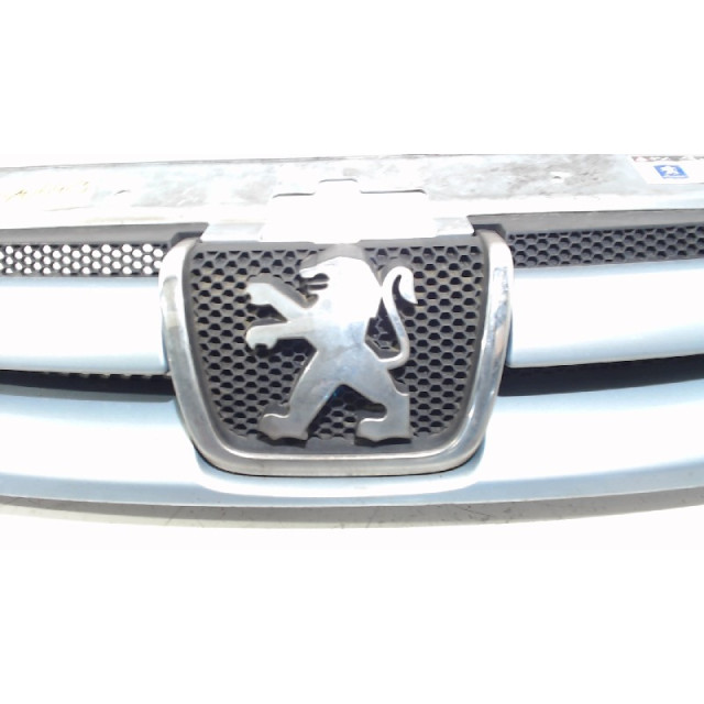 Grille Peugeot Partner/Ranch (1996 - 2015) Van 1.9 D (DW8B(WJY))