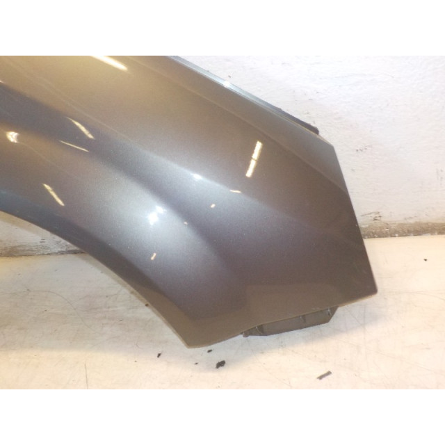 Front wing right Renault Scénic II (JM) (2003 - 2009) MPV 1.5 dCi 100 (K9K-728)