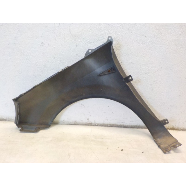 Front wing right Renault Scénic II (JM) (2003 - 2009) MPV 1.5 dCi 100 (K9K-728)