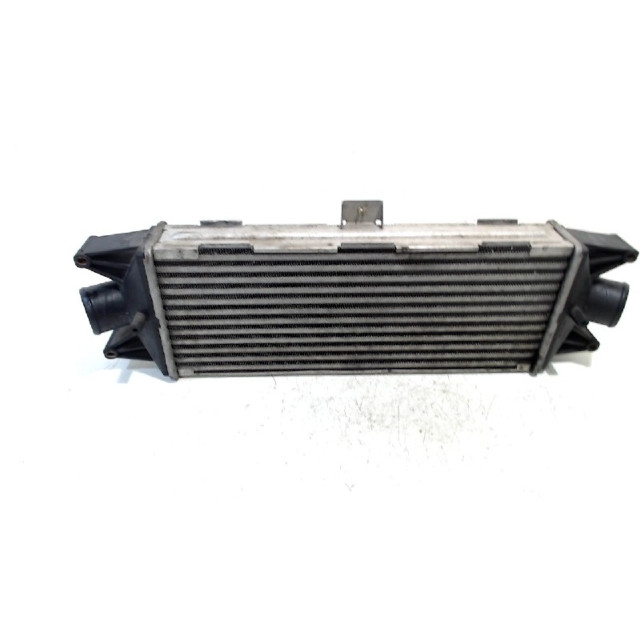 Intercooler radiator Iveco New Daily III (2002 - 2006) Van 35C10V,S10V 2.3 HPI Unijet 16V (F1AE0481A(Euro 3))