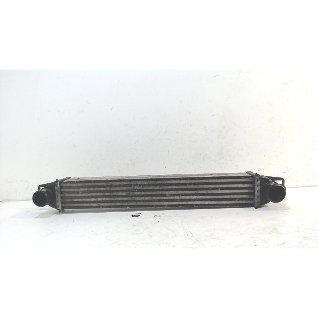 Intercooler radiator Fiat Fiorino (225) (2008 - present) Van 1.3 JTD 16V Multijet (199.A.2000)