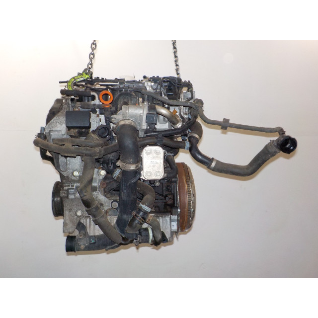 Engine Volkswagen Caddy III (2KA/2KH/2CA/2CH) (2010 - 2015) Van 1.6 TDI 16V (CAYE)