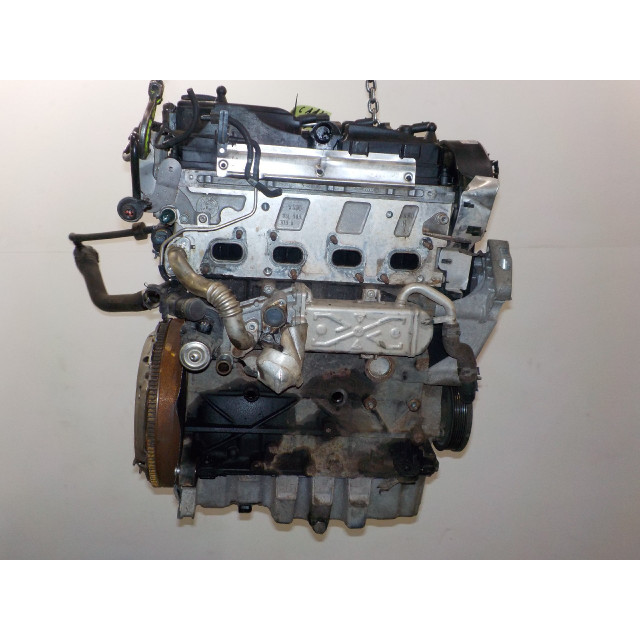 Engine Volkswagen Caddy III (2KA/2KH/2CA/2CH) (2010 - 2015) Van 1.6 TDI 16V (CAYE)