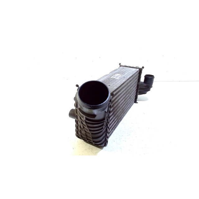 Intercooler radiator Peugeot 3008 I (0U/HU) (2011 - 2016) MPV 2.0 HYbrid4 16V (DW10CTED4(RHC))