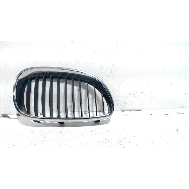 Headlamp grille right BMW 5 serie (E60) (2005 - 2009) Sedan 520d 16V Corporate Lease (M47-D20(204D4))