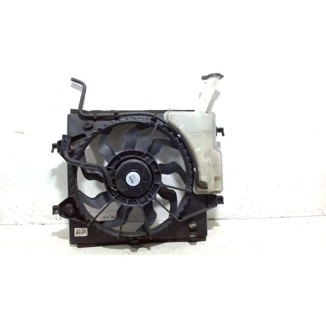 Cooling fan motor Kia Picanto (TA) (2015 - 2017) Hatchback 1.0 12V (G3LA)