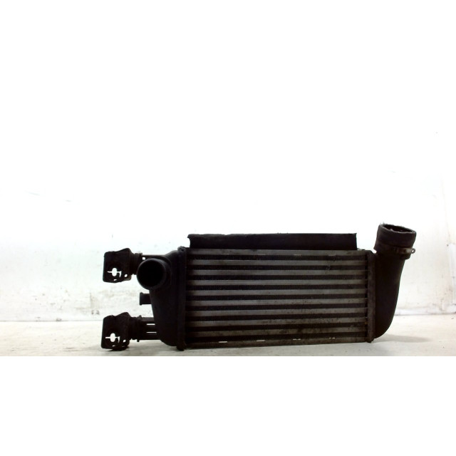 Intercooler radiator Fiat 500 (312) (2007 - present) Hatchback 1.3 MJTD 16V (169.A.1000)