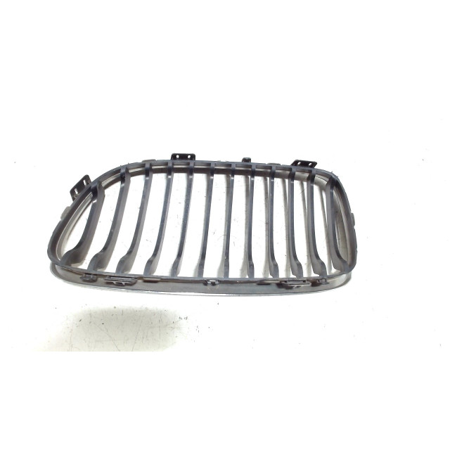 Headlamp grille right BMW 3 serie Touring (E91) (2007 - 2013) Combi 318d 16V (N47-D20A)