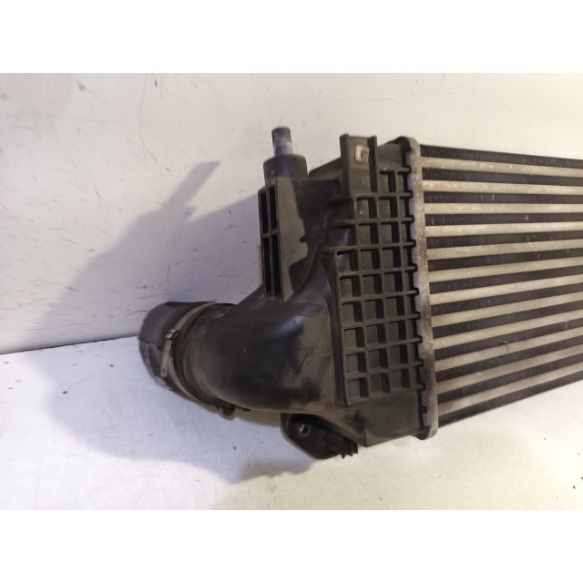 Intercooler radiator Iveco New Daily IV (2007 - 2011) Chassis-Cabine 35C14G, C14GD, C14GV/P, S14G, S14G/P, S14GD (F1CE0441A)