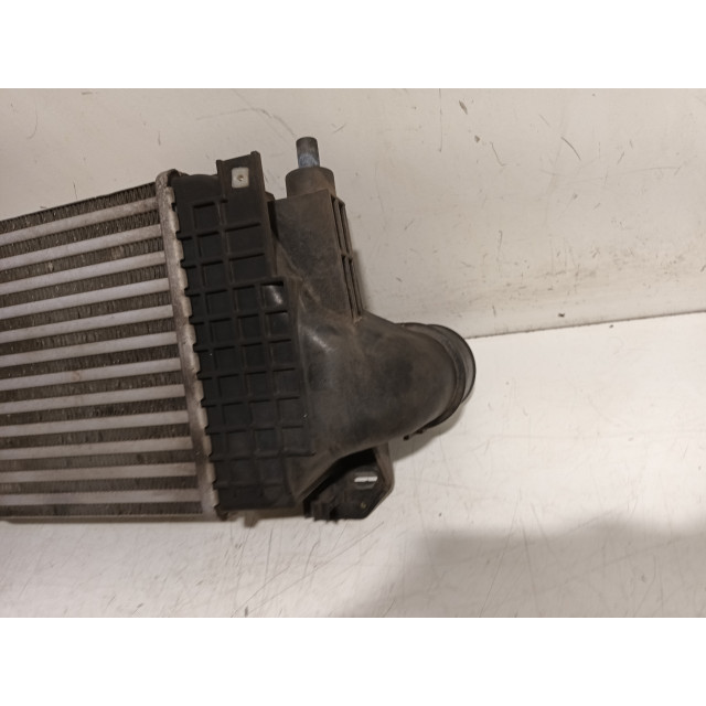 Intercooler radiator Iveco New Daily IV (2007 - 2011) Chassis-Cabine 35C14G, C14GD, C14GV/P, S14G, S14G/P, S14GD (F1CE0441A)