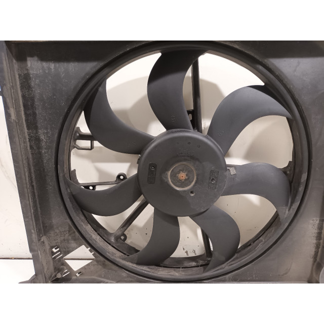 Cooling fan motor Renault Talisman (RFDL) (2015 - 2022) Sedan 1.6 dCi 130 (R9M-409(R9M-E4))
