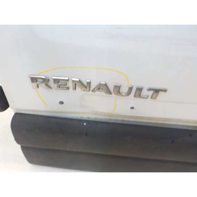 Door rear left Renault Master III (FD/HD) (2006 - 2010) Van 2.5 dCi 120 FAP (G9U-650)