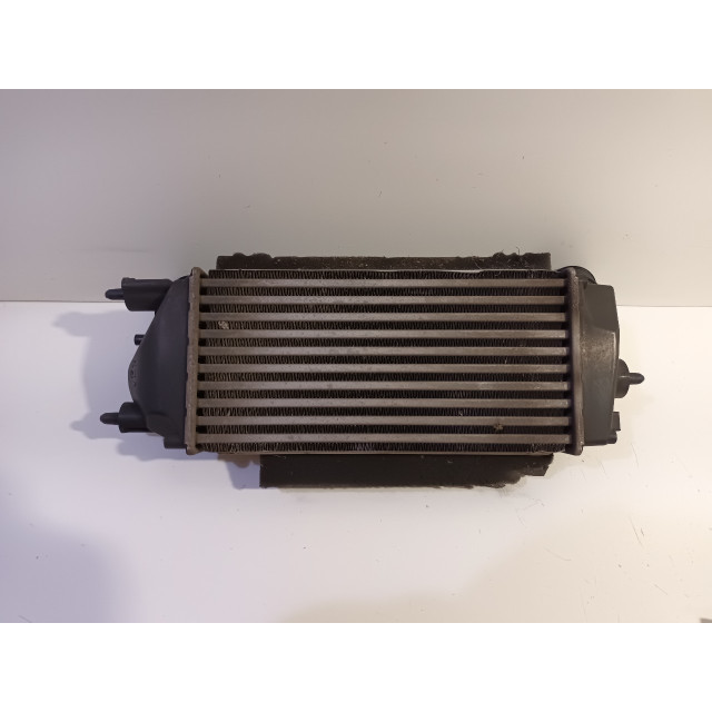Intercooler radiator Ford EcoSport (JK8) (2013 - present) SUV 1.0 EcoBoost 12V 125 (M1JC(Euro 5))