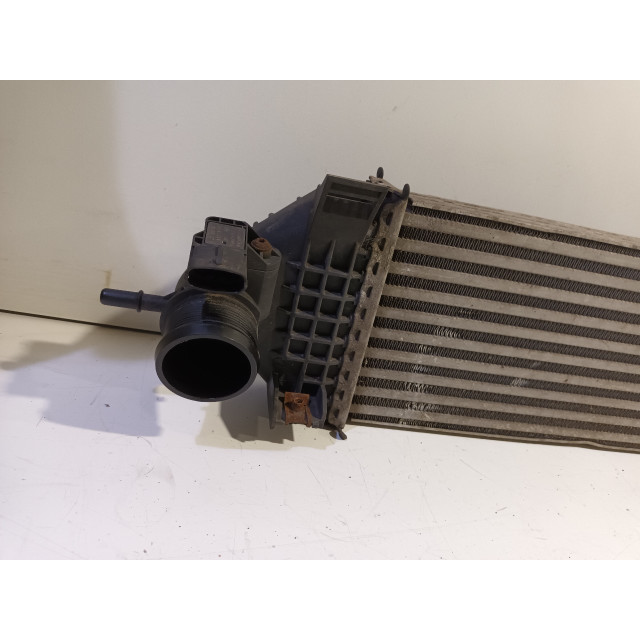 Intercooler radiator Ford C-Max (DXA) (2010 - 2014) MPV 1.6 SCTi 16V (JQDA)