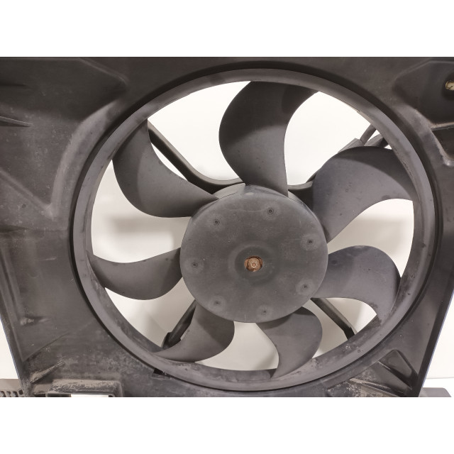 Cooling fan motor Daewoo/Chevrolet Spark (M300) (2010 - 2015) Hatchback 1.0 16V Bifuel (LMT)