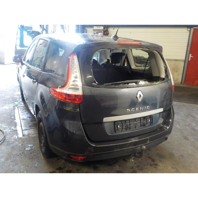 Front wing left Renault Grand Scénic III (JZ) (2009 - 2012) MPV 1.6 16V (K4M-R858)