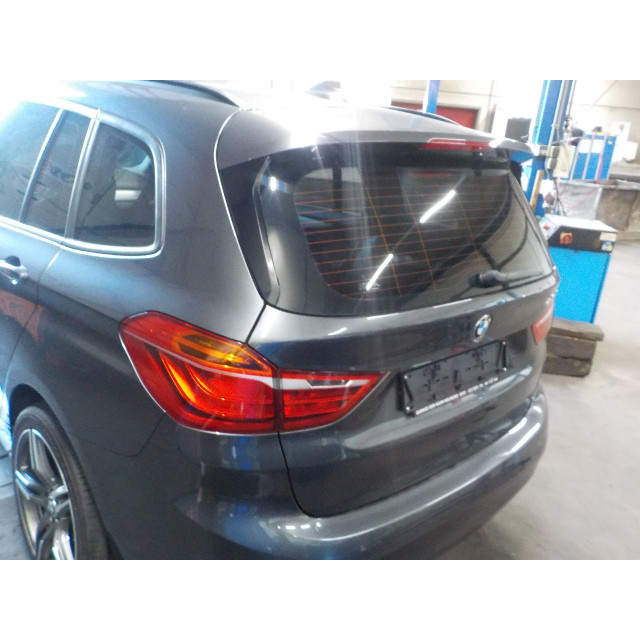Interior lighting BMW 2 serie Gran Tourer (F46) (2015 - present) MPV 216d 1.5 TwinPower Turbo 12V (B37-C15A)