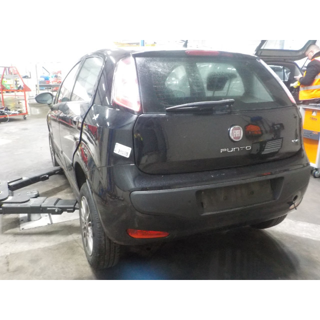 Seatbelt right rear Fiat Punto Evo (199) (2009 - 2012) Hatchback 1.3 JTD Multijet 85 16V (199.B.4000(Euro 5))