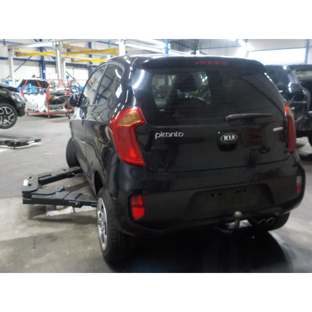 Shock absorber rear right Kia Picanto (TA) (2011 - 2017) Hatchback 1.0 12V (G3LA)