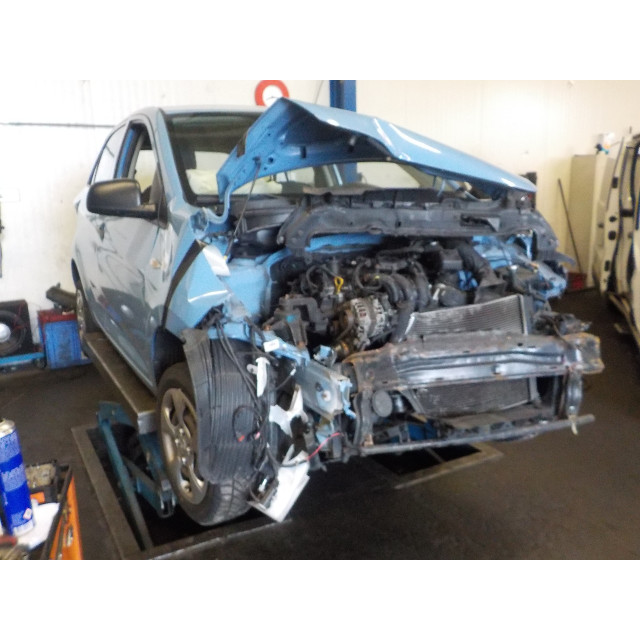 Steering rack Kia Picanto (TA) (2011 - 2017) Hatchback 1.0 12V (G3LA)