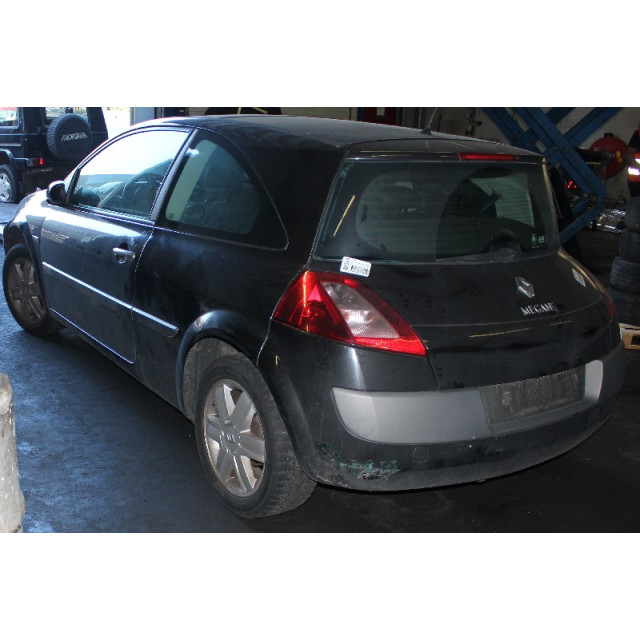 Wiper front left Renault Megane II (BM/CM) (2002 - 2008) Hatchback 1.9 dCi 120 (F9Q-B800(Euro 3))