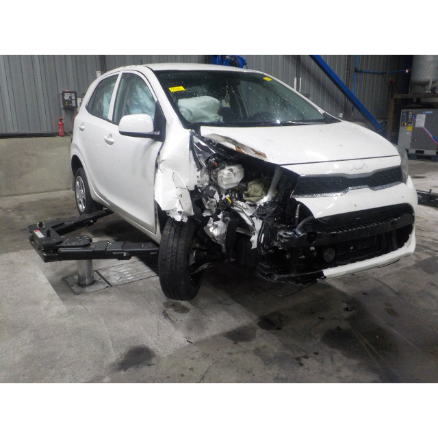Bonnet left hinge Kia Picanto (JA) (2017 - present) Hatchback 1.0 12V (G3LD)