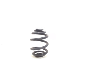 Coil spring rear left or right interchangeable BMW 3 serie Touring (E46/3) (2002 - 2005) Combi 316i 16V (N46-B18A)