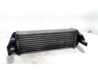 Intercooler radiator Ford Transit Connect (2002 - present) Van 1.8 TDCi 90 (HCPA)