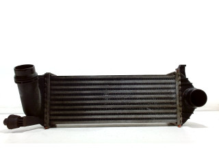 Intercooler radiator Mercedes-Benz Citan (415.6) (2012 - 2021) Van 1.5 109 CDI (OM607.951(K9K-B6))
